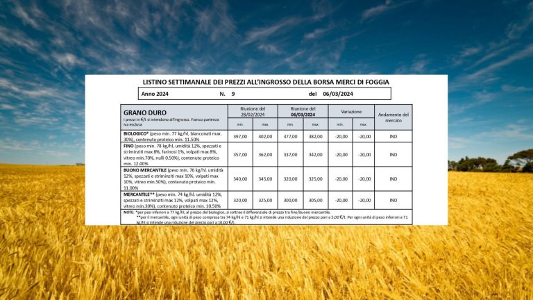 Grano duro quotazioni in picchiata (6 marzo 2024): – 20 euro a tonnellata. Il Fino vale 337-342 e perde oltre 50 euro/t. in un mese