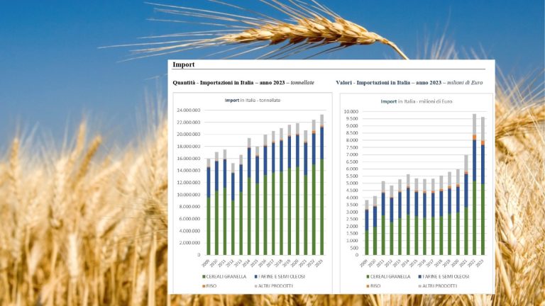 Grano duro nel 2023 le importazioni sono aumentate del 65%. Anacer: 3 milioni e 140 mila ton. per 1,3 miliardi di euro. Ed il grano italiano vale il 30% in meno