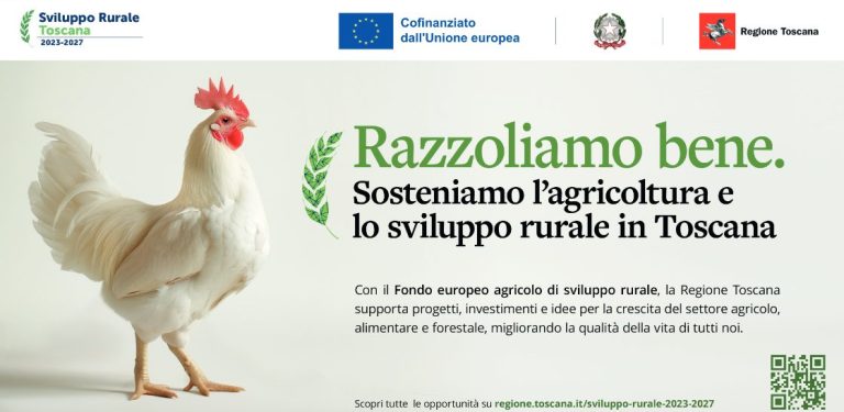 “Razzoliamo bene”. La Regione Toscana lancia così la campagna legata allo Sviluppo Rurale 2023-2027