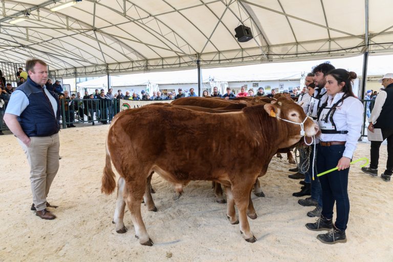 Agriumbria torna a Umbriafiere dal 5 al 7 aprile. Taglio del nastro con un convegno sul futuro del settore