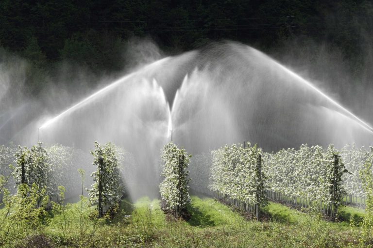 I Consorzi di bonifica irrigano 3,3 milioni di ettari di campagne (l’81% dell’acqua per l’irrigazione)