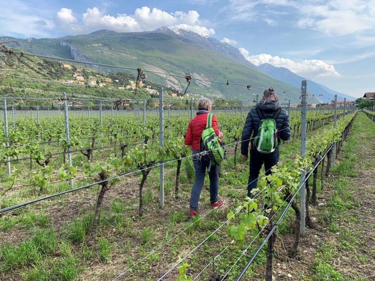 Dal 4 maggio tornano le Gemme di gusto sulla Strada del Vino e dei Sapori del Trentino