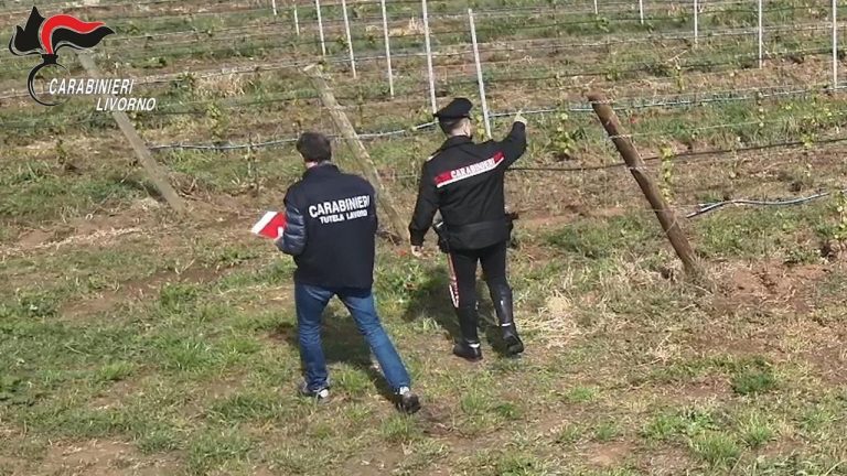 Caporalato in Toscana: 10 persone in carcere e 67 extracomunitari sfruttati fra Livorno e Grosseto. Plauso di Lollobrigida