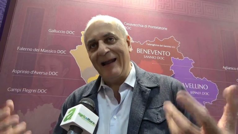 Campania protagonista al Vinitaly, Nicola Caputo: Facciamo sistema e puntiamo sui grandi vitigni autoctoni