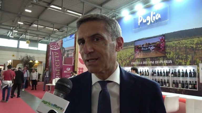 La Puglia del vino punta su autoctoni e enoturismo. Pentassuglia: Grandi opportunità da bellezza e qualità