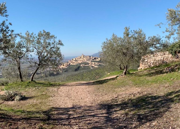 A Trevi, dal 15 al 21 aprile arriva la mostra accessibile e multisensoriale “Storie sulle dita – ALBERI”