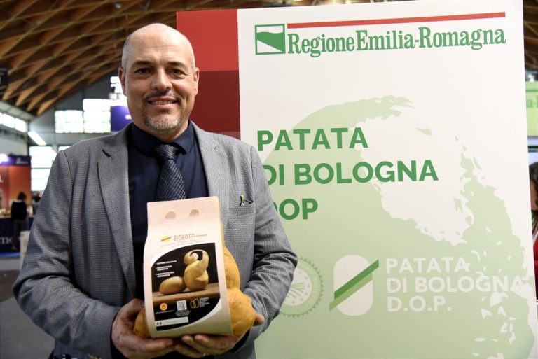 Patata di Bologna DOP con -24% degli ettari di produzione, ma la filiera è sotto la lente dell’Università