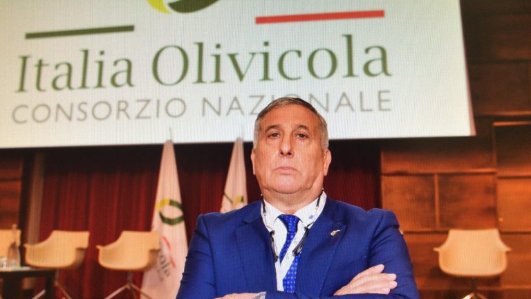 Gennaro Sicolo confermato alla guida degli olivicoltori di Italia Olivicola