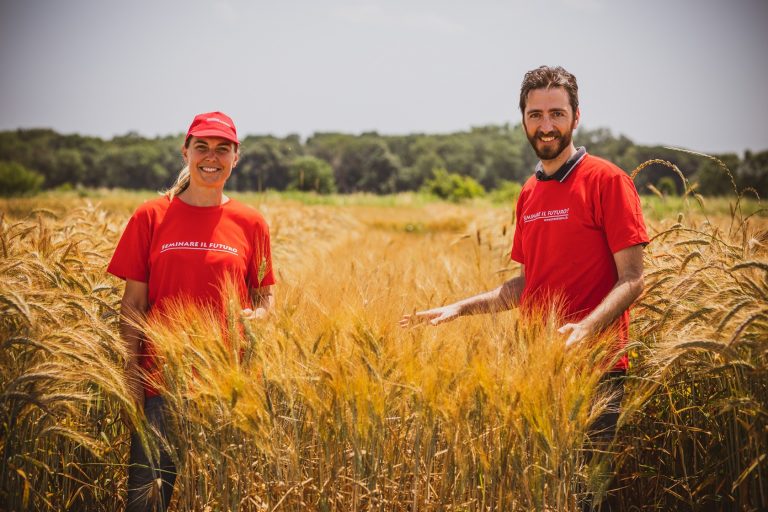 Nuove varietà di cereali per l’agricoltura biologica. Se ne parla a Pisa il 23 maggio