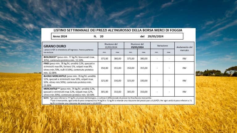 Grano duro: quotazioni stabili (29 maggio) a Borsa Merci Foggia. Fino a 350-355 e Bio a 375-380 euro a tonnellata