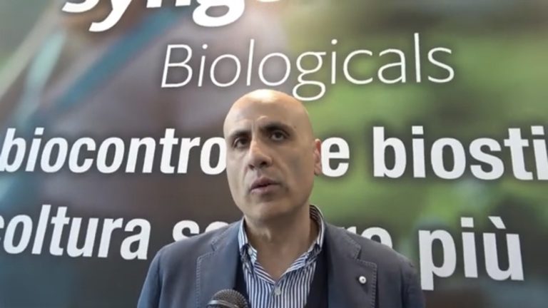 Syngenta Biologicals. Malagrinò: ecco le novità per le biosoluzioni: biostimolanti e biocontrollo