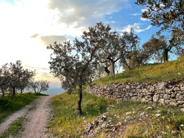 Passeggiate & Buon Gusto. Dal 22 giugno torna il calendario di esperienze tra natura, cultura ed enogastronomia in Umbria