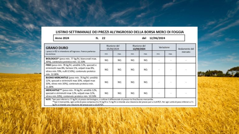 Grano duro: produzione non quotata alla Borsa Merci di Foggia il 12 giugno 2024. Tutti i valori dal 2022