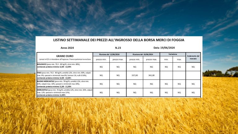 Grano duro, quotazioni del Fino in picchiata (-13 euro): 337-342 a tonnellata a Borsa Merci Foggia (19 giugno)