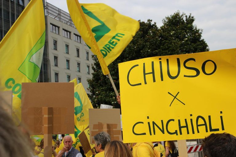 Cinghiali, migliaia di agricoltori in piazza da Nord a Sud dell’Italia