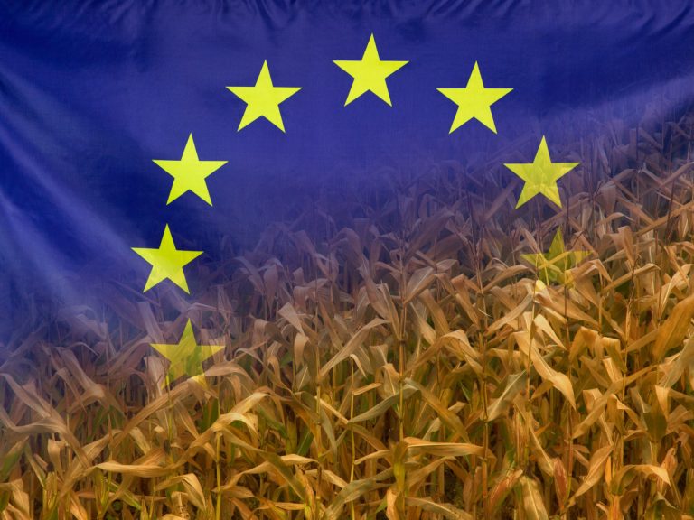 PAC, Serve un cambio di passo per le politiche europee per garantire un giusto reddito agli agricoltori