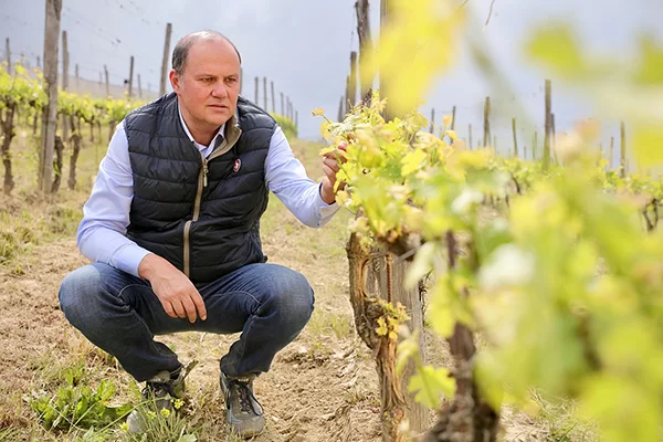 Stefano Chiarlo confermato alla presidenza dell’Associazione Produttori del Nizza Monferrato