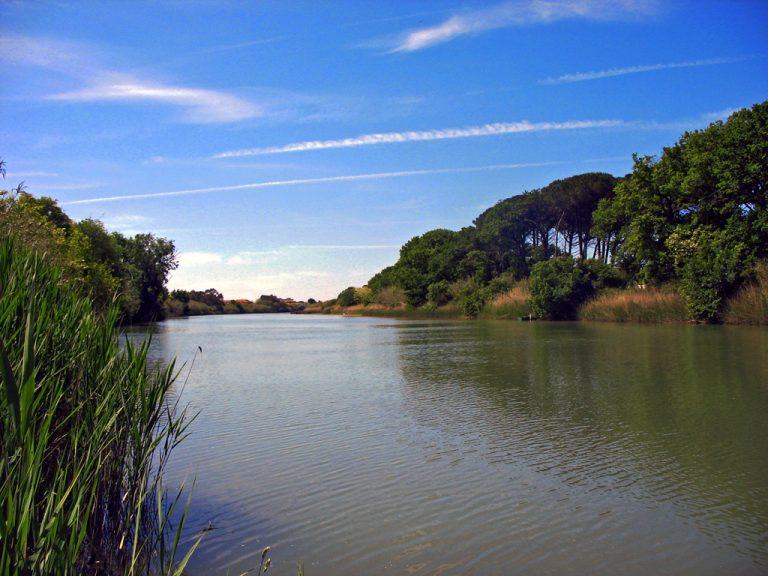 Sicurezza idrogeologica: in Toscana DeepForest monitora la vegetazione dei corsi d’acqua