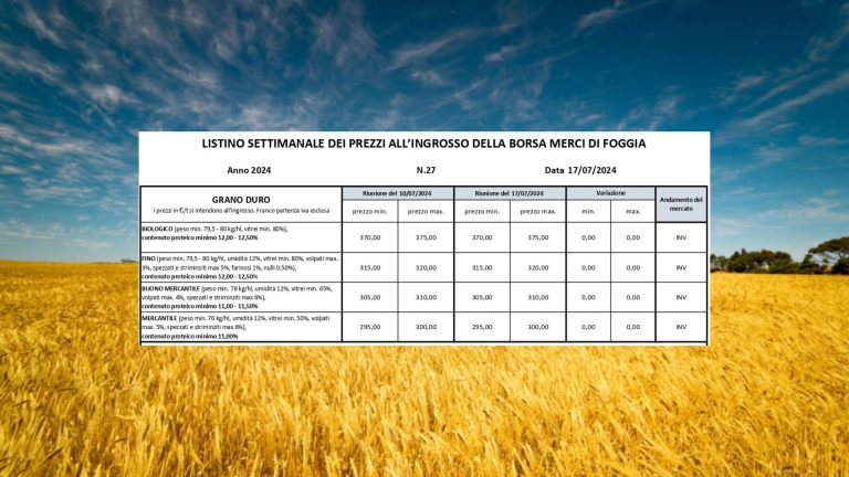 Grano duro, stabili le quotazioni a Borsa Foggia (17 luglio). In due anni il valore precipitato del 37,5% (persi 200 euro a tonnellata)