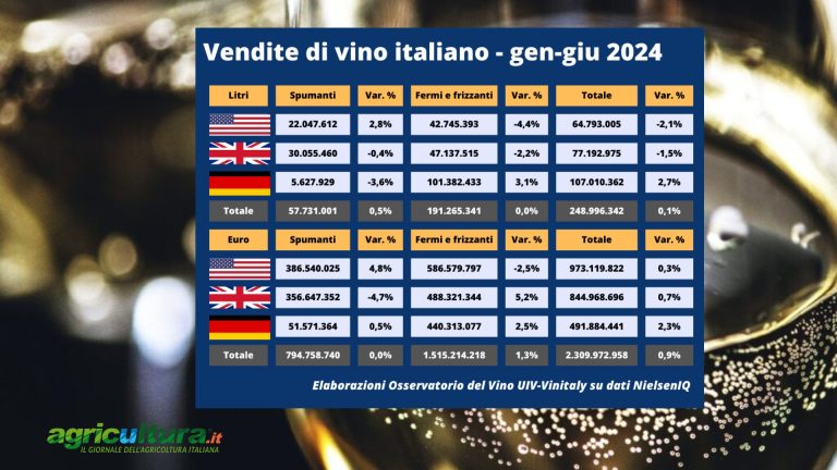 In Usa, Gran Bretagna e Germania si beve meno vino italiano: – 4,3 nella GDO primo semestre 2024