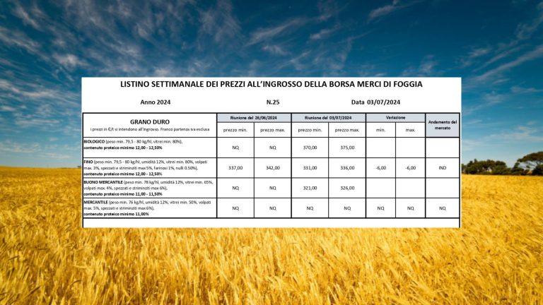 Grano duro, quotazioni continuano a scendere (-6 euro). Il Fino vale 331-336 euro/t. a Borsa Merci Foggia (3 luglio)