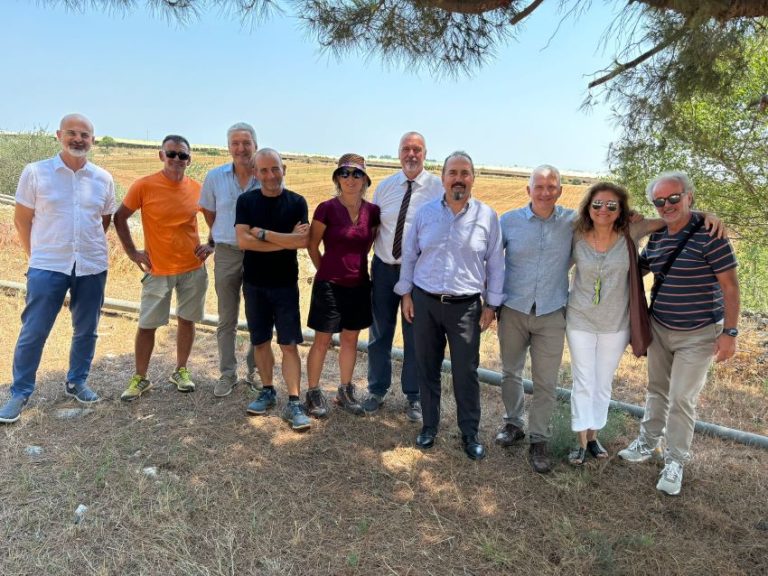 Innovare con l’Agroforestry. Sperimentazione CREA su cotone con Apulia Regenerative Cotton (ARCO), progetto con EFI e Armani SPA