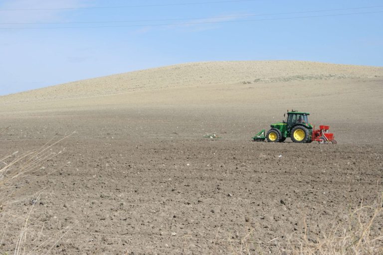 Siccità. Masaf: Più di 100 milioni di euro per le imprese agricole danneggiate