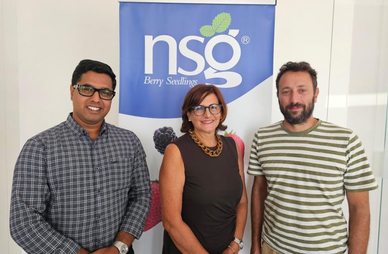 Nova Siri Genetics, siglata partnership con due aziende indiane. Suriano: Fragole innovative per competitività a livello globale