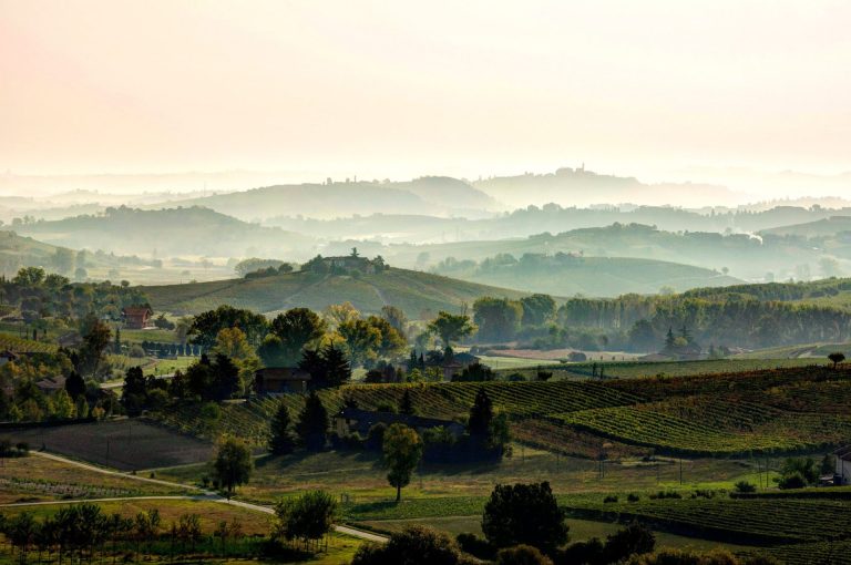 Barbera d’Asti Wine Festival: dal 6 al 15 settembre appuntamento nel Monferrato