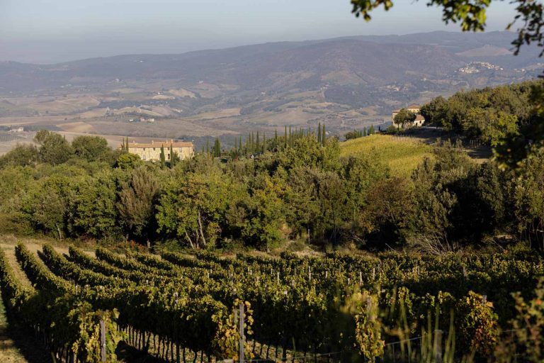 Montecucco: la Docg toscana punta su biologico (il 95% della produzione) e vitigni autoctoni