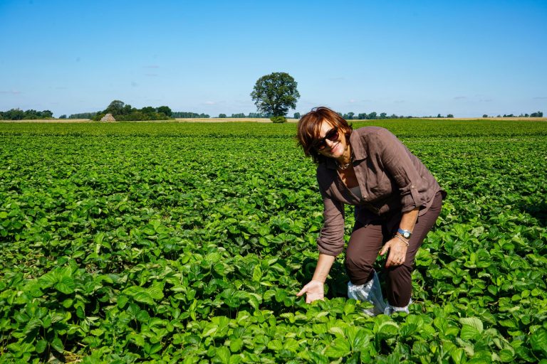 Tra lotta al cambiamento climatico e ricerca, dalla Basilicata l’esperienza di Nova Siri Genetics, azienda leader per fragole  frutti rossi