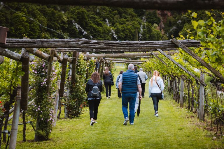 In Trentino è tempo di Divin Ottobre. Tanti eventi in tutto il territorio vinicolo