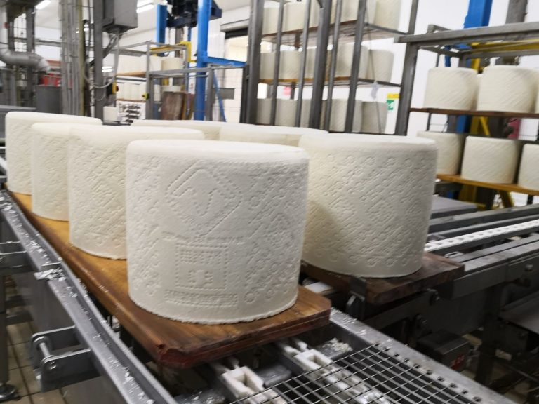 Pecorino Romano DOP: produzione in aumento del 7,1%, cresce il mercato Usa (+25%)