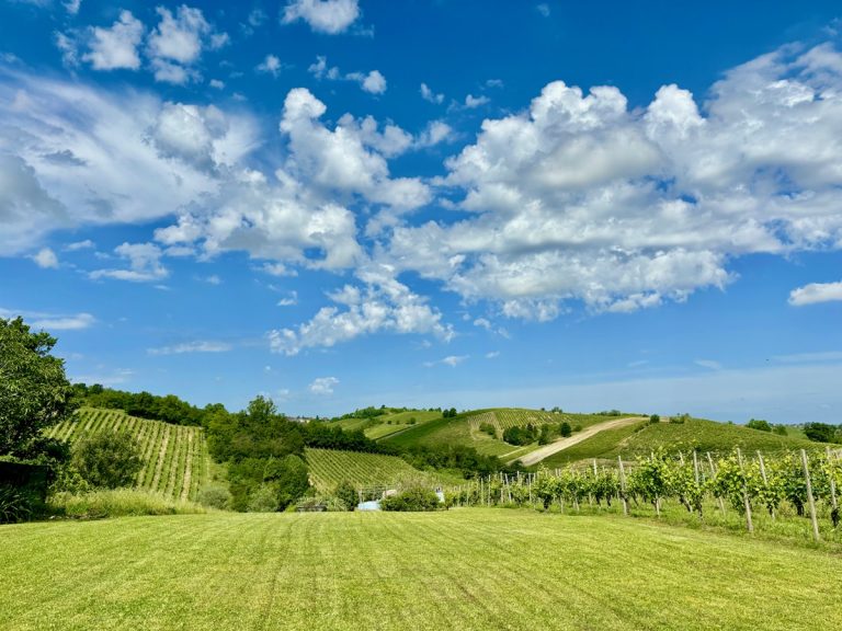 I sapori di Emilia protagonisti dal 6 all’8 settembre tra Parma e Piacenza