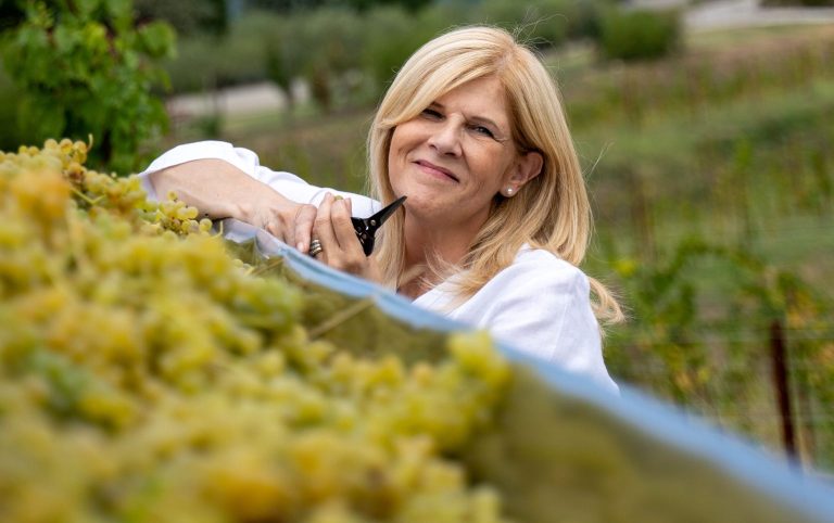 Vendemmia 2024 nei Colli Orientali del Friuli. Per Annalisa Zorzettig grandi aspettative, qualità e freschezza