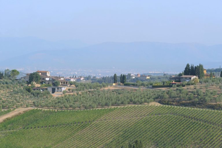 Il Consorzio del Chianti Colli Fiorentini compie 30 anni e celebra l’anniversario con le annate più rappresentative