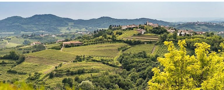 Nel Collio è festa per la vendemmia: tanti gli eventi nel ricco cartellone