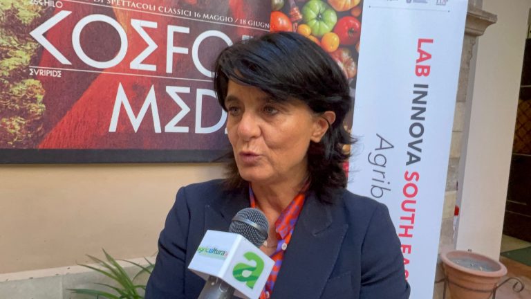 Al G7 agricoltura, con FederUnacoma lo show delle tecnologie agricole made in Italy