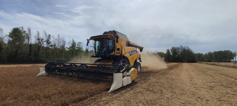 CAB di Ravenna chiude il raccolto dei cereali con 22.952 ton. Meglio del 2023, ma ancora sotto la media