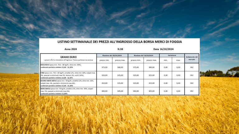 Grano duro, quotazioni invariate (16 ottobre) a Borsa Merci Foggia. Il Fino resta a 325 euro, persi 195 euro a tonn. (-37%) in 2 anni