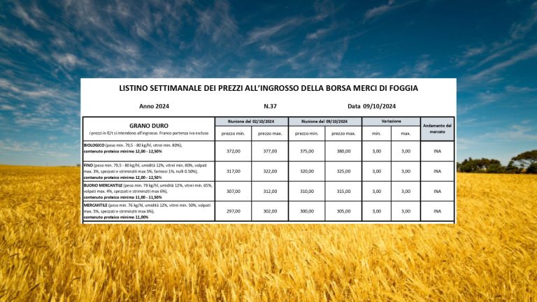 Grano duro, il valore cresce di 3 euro (Borsa Foggia 9 ottobre) ed il Fino arriva a 325 euro/t. In due anni crollo del prezzo del 37%: persi 190 euro a tonnellata