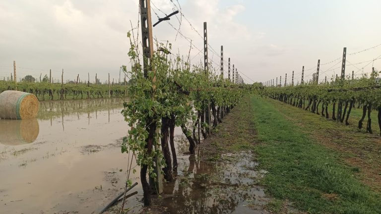 Alluvioni e altre calamità, Cia Romagna: la rabbia che deve diventare prospettiva propositiva