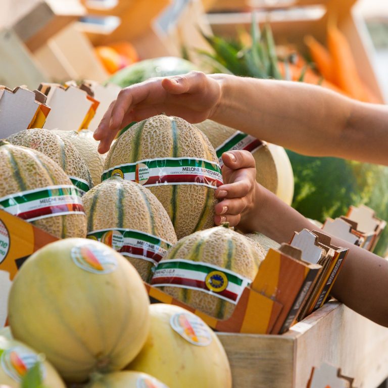 Il Melone Mantovano Igp chiude bene la campagna 2024 con oltre 2 mila ettari coltivati