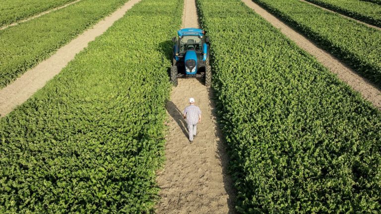 Sibeg Coca-Cola e Italia Zuccheri-Coprob rinnovano l’accordo di filiera puntando alla Carbon Neutrality