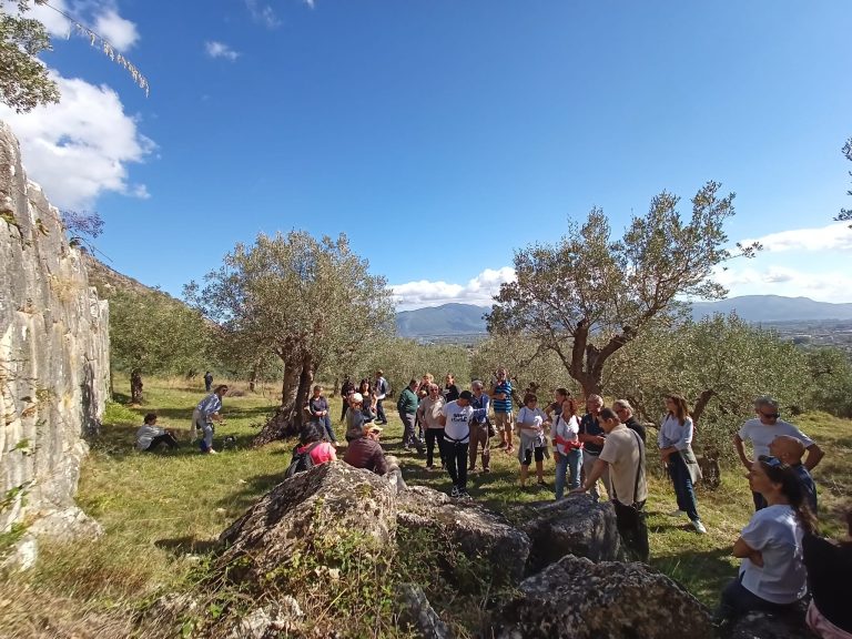 Il 27 ottobre in tutta Italia l’ottava edizione della Camminata tra gli olivi