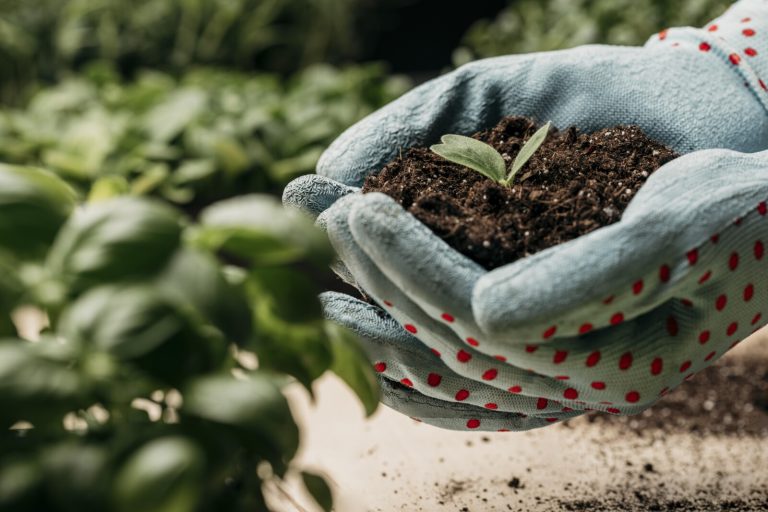 Matrici fertilizzanti rinnovabili: via ai lavori per una prassi di riferimento che promuova l’economia circolare dei fanghi