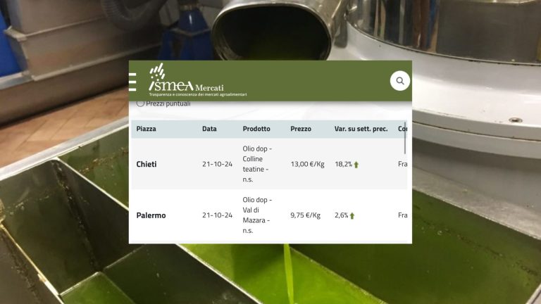 Olio d’oliva. Prezzo stabile (22 ottobre) per gli extravergine: media 9.52 euro al kg. Quotazioni simili per le dop