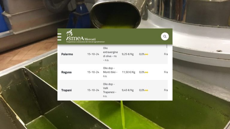 Olio d’oliva, prezzo stabile per l’extravergine in tutte le piazze italiane (15 ottobre). Quotazione media è di 9,30 euro al kg