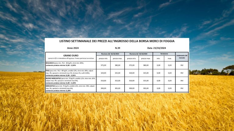 Grano duro, quotazioni stabili a Borsa Merci Foggia (23 ottobre). Il Fino resta a 320-325 euro/t. meno 195 euro/t. in 2 anni