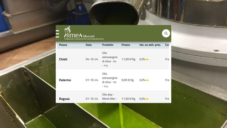Prezzi olio d’oliva al 4 ottobre 2024. Quotazioni stabili per gli extravergine (media oltre 9 euro/kg), in calo i valori delle Dop (Ligure -6,7%)